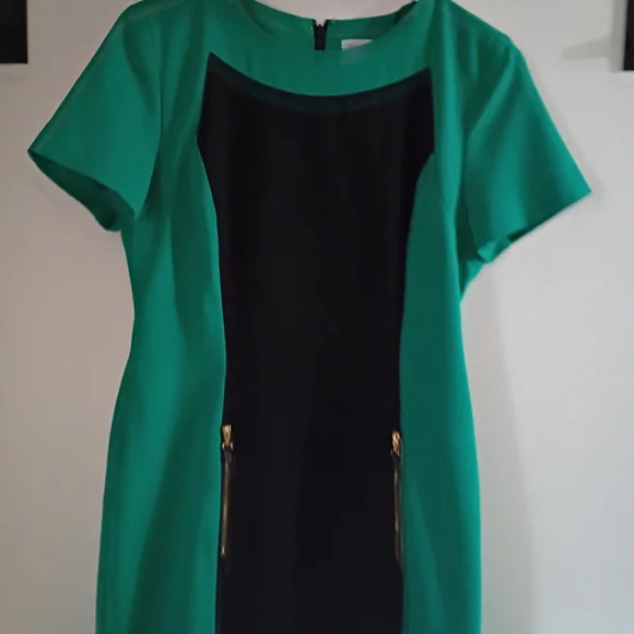 Calvin Klein Green and Black Mini Dress - Picture 4 of 11